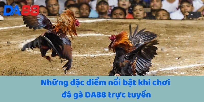 Những đặc điểm nổi bật khi chơi đá gà DA88 trực tuyến